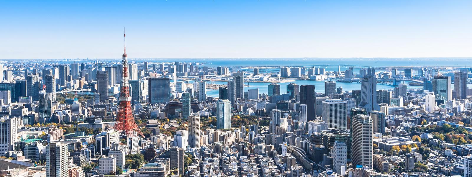 メインビジュアル画像